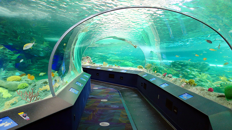 Túnel do Ripley’s Aquarium of Canada