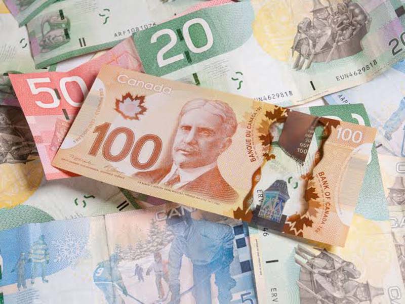 Notas de dólar canadense