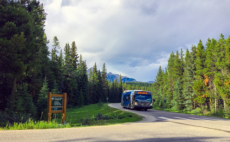 Ônibus no Parque Nacional em Banff