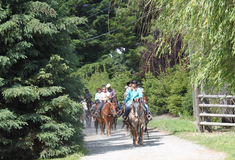 Grupo do passeio a cavalo em Whistler
