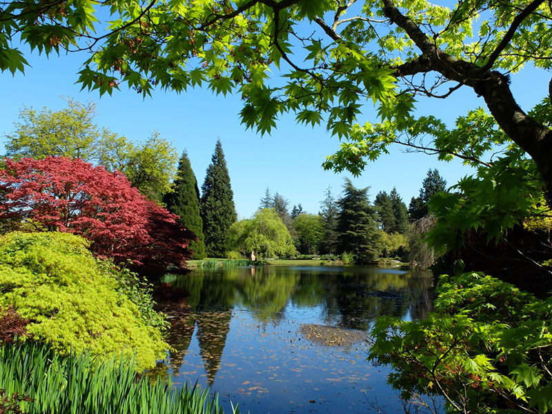 Dia de verão no Jardim Botânico Van Dusen Vancouver