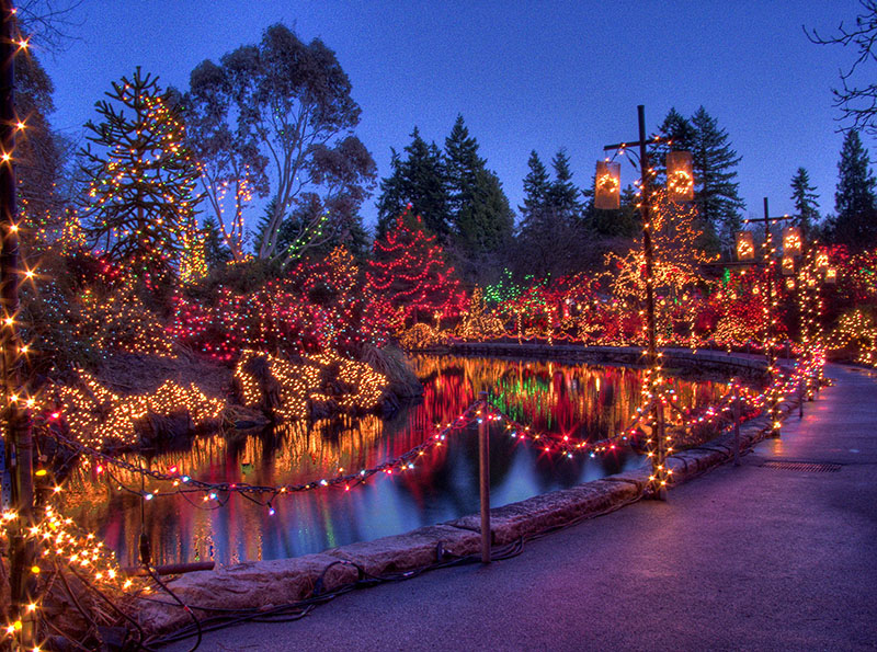 Jardim Botânio Van Dusen no Natal em Vancouver