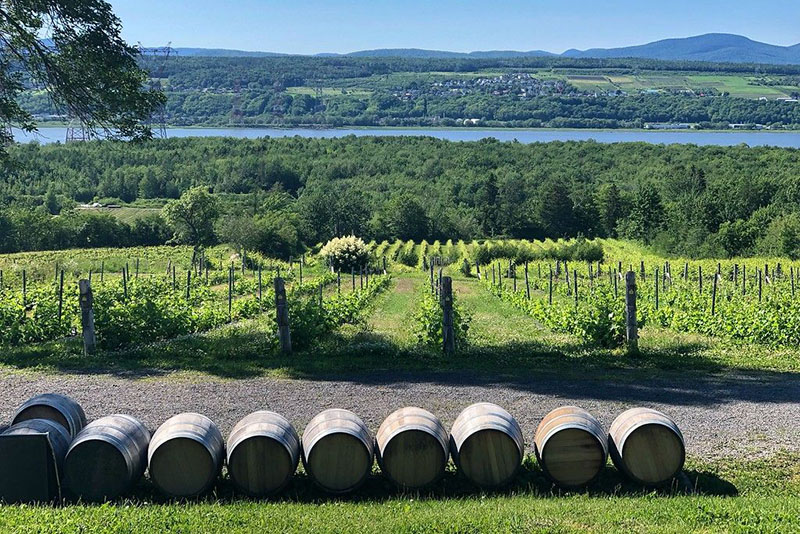 Vista dos vinhedos em Quebec