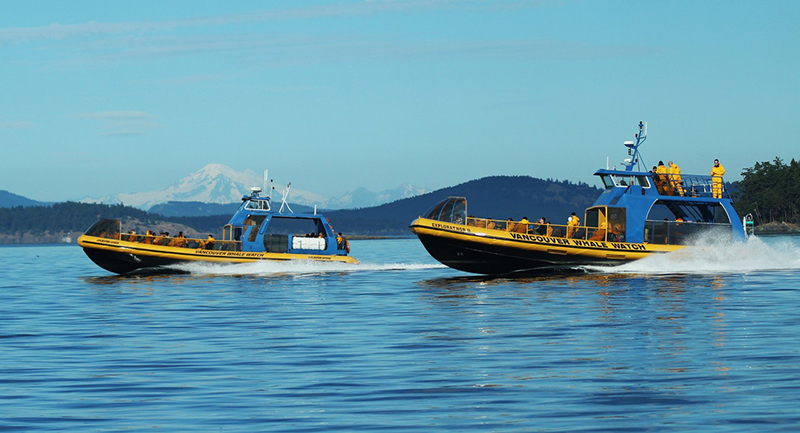 Barcos da excursão de observação de baleias em Vancouver