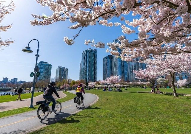 7 passeios para fazer de graça em Vancouver