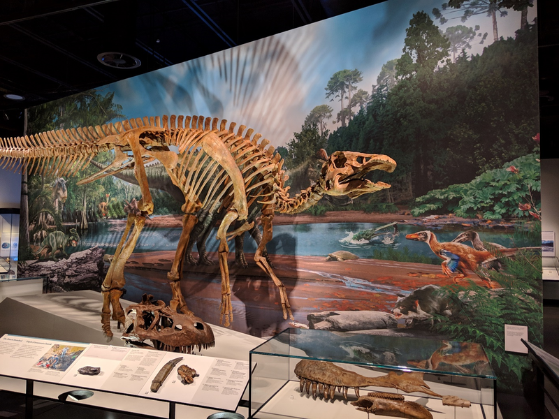 Dinossauro no Royal Alberta Museum em Edmonton
