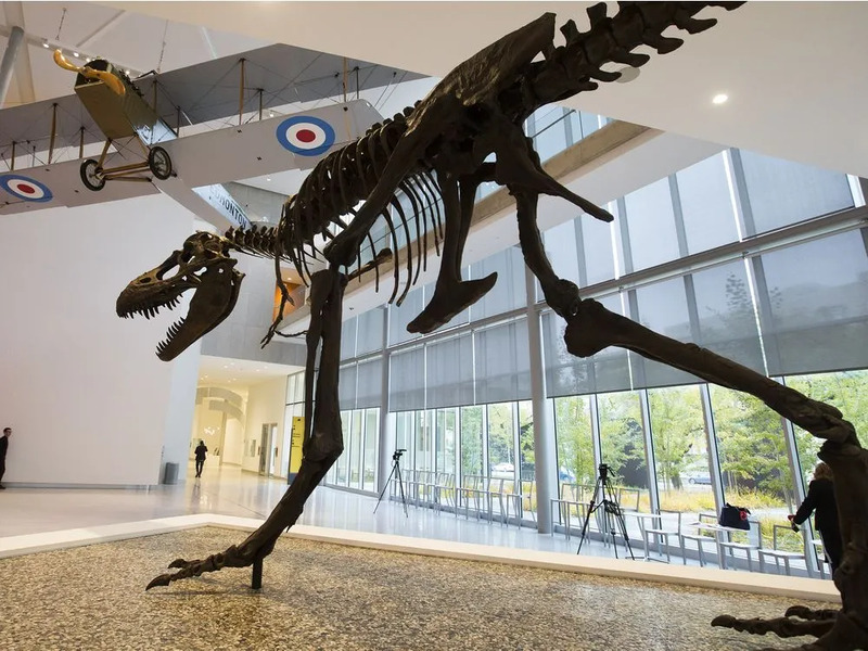 Esqueleto no Royal Alberta Museum em Edmonton